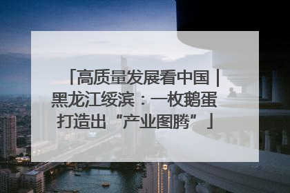 高质量发展看中国｜黑龙江绥滨：一枚鹅蛋打造出“产业图腾”