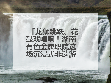 龙狮跳跃、花鼓戏唱响！湖南有色金属职院这场沉浸式非遗游园活动很带感