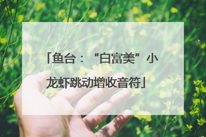 鱼台：“白富美”小龙虾跳动增收音符