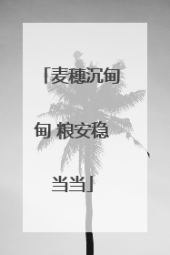 麦穗沉甸甸 粮安稳当当