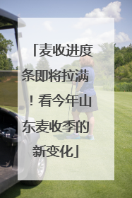 麦收进度条即将拉满！看今年山东麦收季的新变化