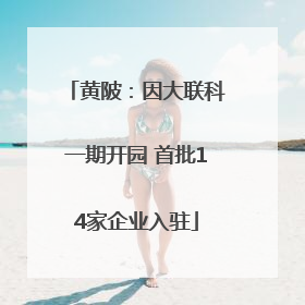 黄陂：因大联科一期开园 首批14家企业入驻