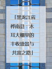 黑龙江省桦南县：木耳大棚里的丰收盛景与共富之路