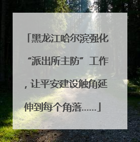 黑龙江哈尔滨强化“派出所主防”工作，让平安建设触角延伸到每个角落……