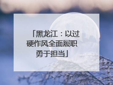 黑龙江：以过硬作风全面履职勇于担当