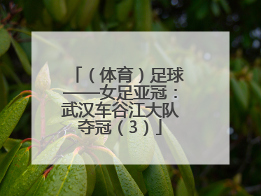 （体育）足球——女足亚冠：武汉车谷江大队夺冠（3）
