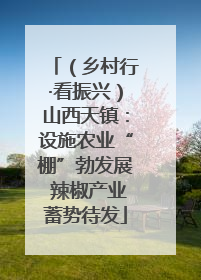 （乡村行·看振兴）山西天镇：设施农业“棚”勃发展 辣椒产业蓄势待发
