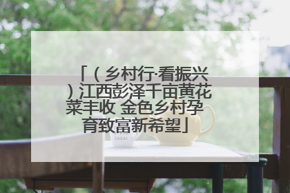 （乡村行·看振兴）江西彭泽千亩黄花菜丰收 金色乡村孕育致富新希望