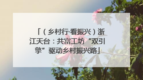 （乡村行·看振兴）浙江天台：共富工坊“双引擎”驱动乡村振兴路