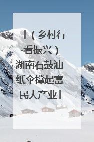 （乡村行·看振兴）湖南石鼓油纸伞撑起富民大产业