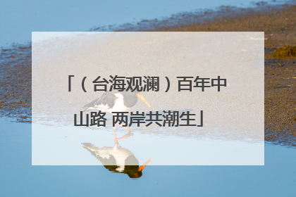 （台海观澜）百年中山路 两岸共潮生
