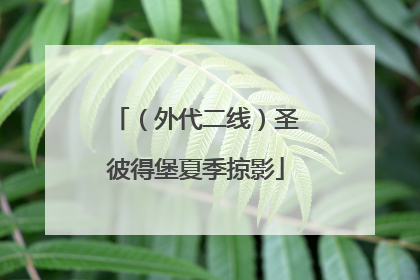 （外代二线）圣彼得堡夏季掠影