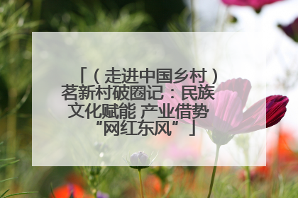 （走进中国乡村）茗新村破圈记：民族文化赋能 产业借势 “网红东风”
