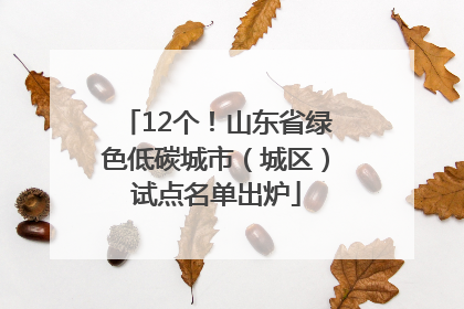 12个！山东省绿色低碳城市（城区）试点名单出炉