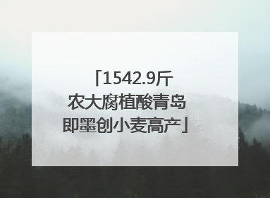 1542.9斤 农大腐植酸青岛即墨创小麦高产