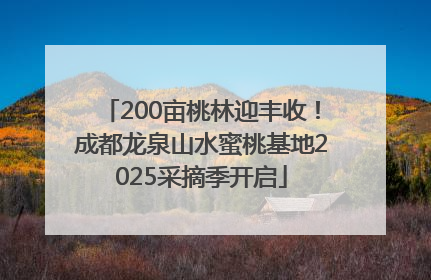 200亩桃林迎丰收！成都龙泉山水蜜桃基地2025采摘季开启