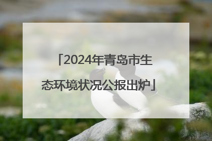 2024年青岛市生态环境状况公报出炉