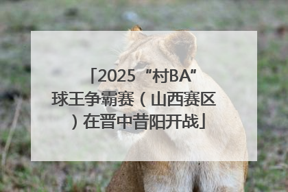 2025“村BA”球王争霸赛（山西赛区）在晋中昔阳开战