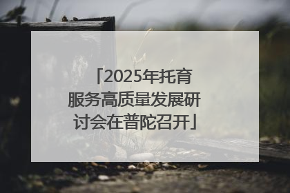 2025年托育服务高质量发展研讨会在普陀召开