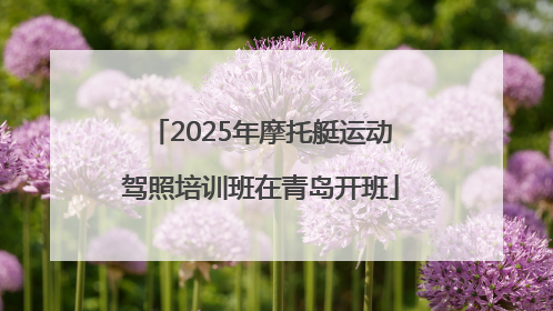 2025年摩托艇运动驾照培训班在青岛开班