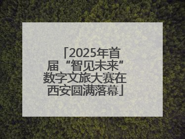 2025年首届“智见未来”数字文旅大赛在西安圆满落幕