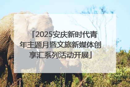 2025安庆新时代青年主题月暨文旅新媒体创享汇系列活动开展