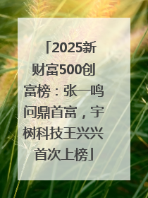 2025新财富500创富榜：张一鸣问鼎首富，宇树科技王兴兴首次上榜