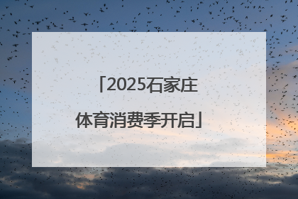 2025石家庄体育消费季开启