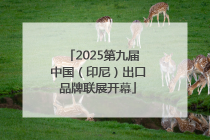 2025第九届中国（印尼）出口品牌联展开幕