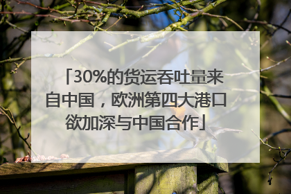 30%的货运吞吐量来自中国，欧洲第四大港口欲加深与中国合作