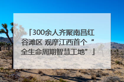 300余人齐聚南昌红谷滩区 观摩江西首个“全生命周期智慧工地”