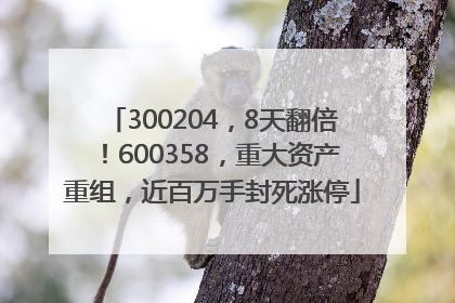 300204，8天翻倍！600358，重大资产重组，近百万手封死涨停