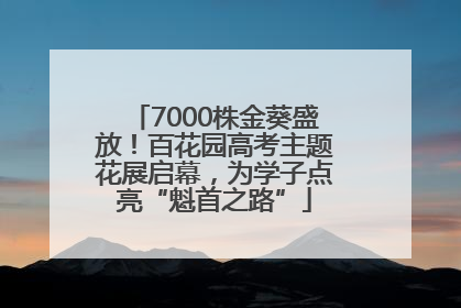 7000株金葵盛放！百花园高考主题花展启幕，为学子点亮“魁首之路”