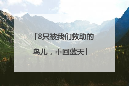 8只被我们救助的鸟儿，重回蓝天