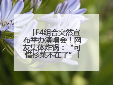 F4组合突然宣布举办演唱会！网友集体炸锅：“可惜杉菜不在了”