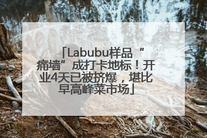Labubu样品“痛墙”成打卡地标！开业4天已被挤爆，堪比早高峰菜市场
