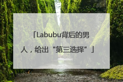 Labubu背后的男人，给出“第三选择”